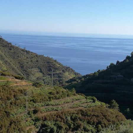 ☆ Terrace & Relax ☆ Casa Franceschin_ Homy 5 Terre Villa Riomaggiore Kültér fotó