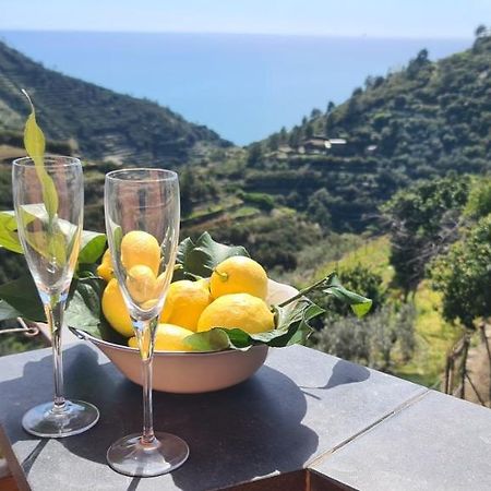 ☆ Terrace & Relax ☆ Casa Franceschin_ Homy 5 Terre Villa Riomaggiore Kültér fotó