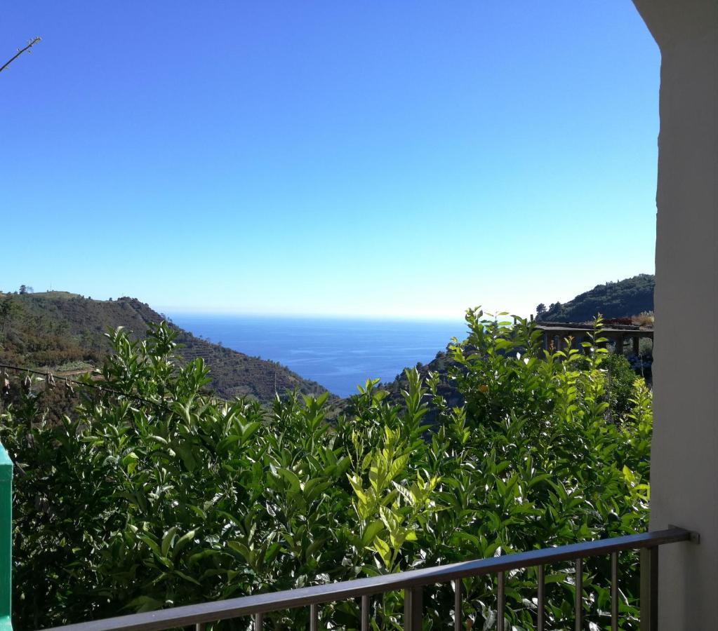 ☆ Terrace & Relax ☆ Casa Franceschin_ Homy 5 Terre Villa Riomaggiore Kültér fotó