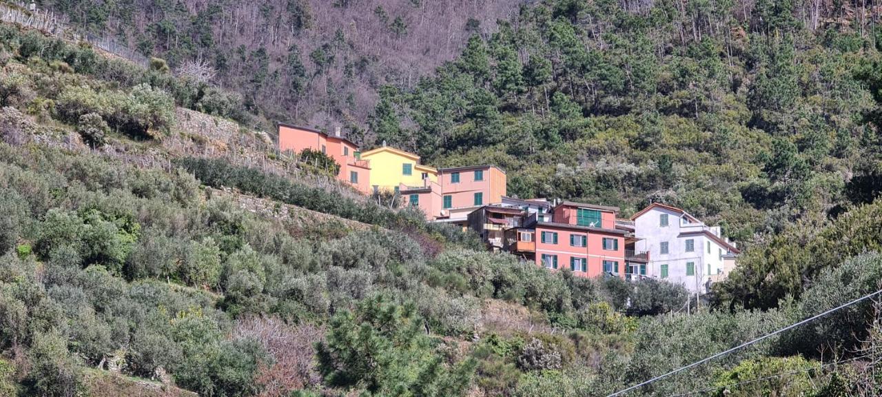 ☆ Terrace & Relax ☆ Casa Franceschin_ Homy 5 Terre Villa Riomaggiore Kültér fotó